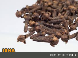 «میخک» گنجینه آنتی‌اکسیدان‌ها