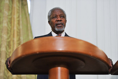 دیدار کوفی عنان با صالحی