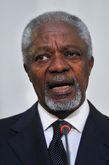 دیدار کوفی عنان با صالحی