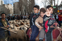 کوچ نمادین عشایر ایران در خیابان ولیعصر تهران