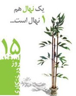 درختکاری چه ثوابی دارد؟ 