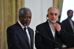 دیدار کوفی عنان با صالحی