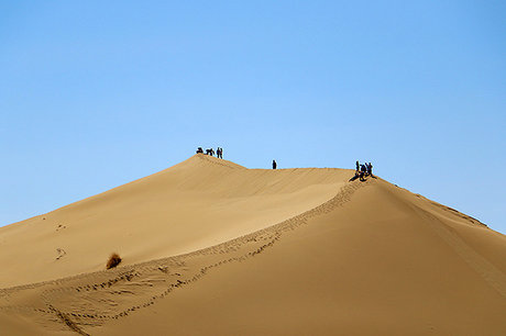 تلاش برای جستجوی جوان گمشده در کویر مصر ادامه دارد