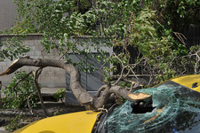 ۱۲ نکته درباره هشدار سریع؛ اقدام سریع در هواشناسی