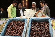 عرضه دولتی 15 هزار تن خرما در ماه رمضان