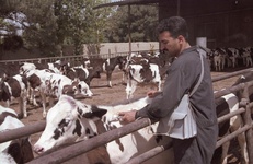 خراسان‌جنوبی پاک‌ترین استان کشور از بیماری تب برفکی است