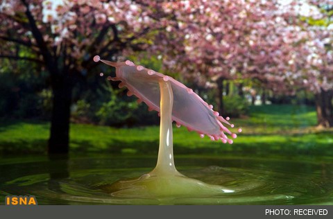 از انفجار هسته‌ای تا کمند گاوبازی در تصاویری از هنرنمایی با قطرات آب!