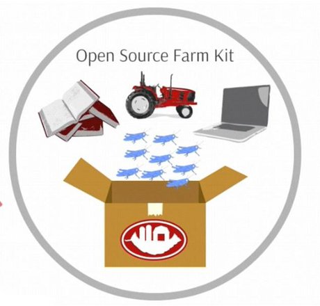 ساخت کیت پرورش حشرات خوراکی 