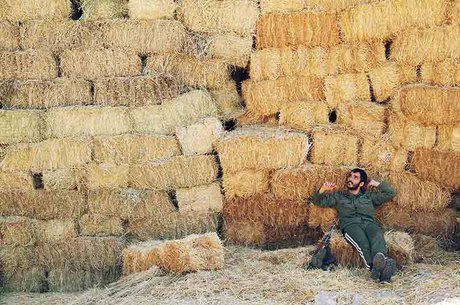 جدیدترین آمار فروش «رد کارپت» و «کلاشینکف»