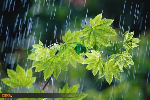فعالیت سامانه بارشی در کشور از شنبه و بارش باران در اغلب استانها