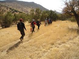 گلهو را فراموش نکنید