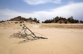 بیابان و بررسی چالش‌های آن در سیستان‌وبلوچستان