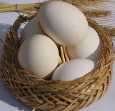"تخم مرغ" تنها کالای گران شده بین خوراکی ها