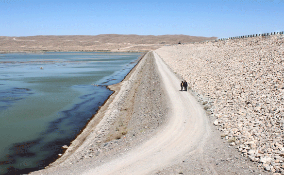 خشک شدن هامون موجب وقوع طوفان‌های 220 روزه در سیستان می‌شود