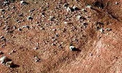 نقش اجرای خاک ورزی حفاظتی در توسعه کشاورزی پایدار