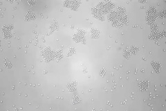 خلق بلورهای تقریباً زنده توسط دانشمندان