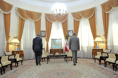 دیدار كوفي عنان با دبیر شورای عالی امنیت ملی