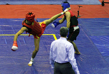 مروري بر مسابقات ووشوي قهرماني آسيا