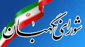 هیچ مرجعی جز شورای نگهبان حق ابطال یا متوقف کردن انتخابات را ندارد
