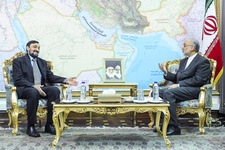 صالحی بر استفاده از همه ظرفیت‌های سیاسی ایران در حمایت از فلسطین تاکید کرد