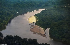 ناتوانیِ جنگل های آمازون در جذب کربن به خاطر تغییر اقلیم
