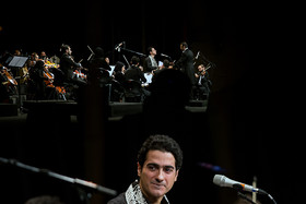 arash khamooshi-8-25.jpg