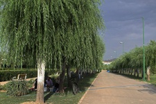 آبیاری هوشمند فضای سبز منطقه ۱۴ برای اولین بار در تهران