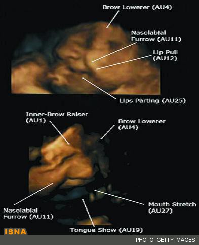 تجربه اشک‌ها و لبخندها از دوران جنینی