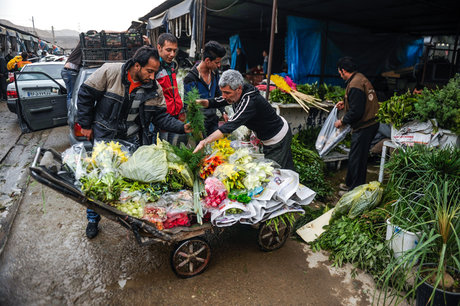 ایمن سازی بازار گل شهید محلاتی