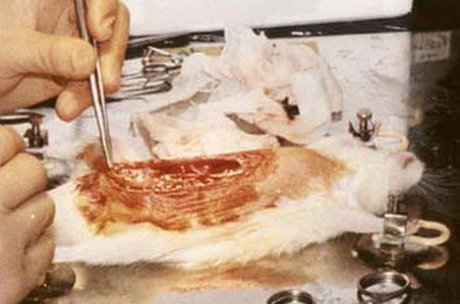 انتقاد از کاهش اختیارات گروه‌های آموزشی پزشکی قانونی/کاهش داوطلبان این رشته