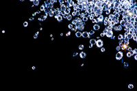 بهترین دوست کشاورزان؟