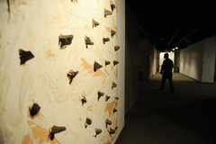 افتتاحیه نمایشگاه آثار هنرمند آلمانی گونتر اوکر در موزه هنرهای معاصر تهران