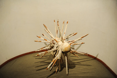 افتتاحیه نمایشگاه آثار هنرمند آلمانی گونتر اوکر در موزه هنرهای معاصر تهران