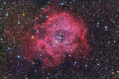 تصوير ناسا از گل رز  آسمان شب