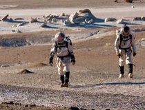 سكونت در سيارات با جعبه‌اي از ميكروب‌هاي مهندسي شده!