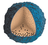 ارائه روشی برای تولید نانوبلور با ویژگی‌های از پیش تعیین شده