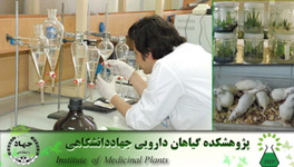 پژوهشكده گياهان دارويي جهاد دانشگاهي، پژوهشكده برتر كشور شناخته شد