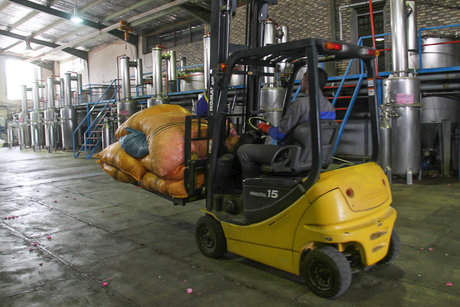 راه اندازی سایت تولید عرقیات گیاهی در دانشگاه آزاد اراک