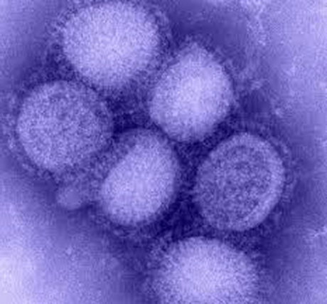 کاندوم تنها در 70 درصد موارد از انتقال ویروس پاپیلوما جلوگیری می‌کند