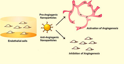 کنترل تشکیل رگ در سلول‌های سرطانی با نانوذرات پوشش‌دار
