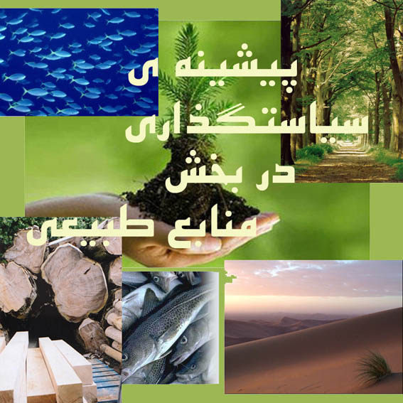 پيشينه‌ي سياست‌گذاري در بخش منابع طبيعي/
متن كامل سياست‌هاي كلي نظام در بخش منابع طبيعي