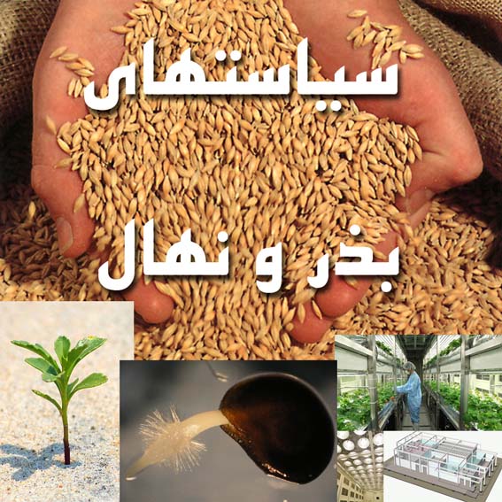 عاقبت بذر خودمصرفي/1 
تحت الشعاع بازنگري در قوانين كنوانسيون UPOV
