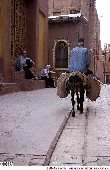 "ابيانه" روستايي بس كهن و زيبا در 40 كيلومتري نطنز/ غلامحسين بهارلو- ايسنا