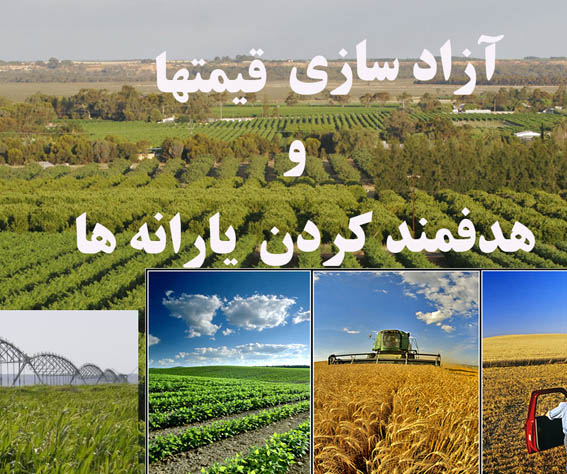 سياست‌هاي حمايتي دربخش كشاورزي/
نتايج اجراي همزمان سياست‌هاي آزادسازي قيمت كالاهاي كشاورزي وهدفمند‌ كردن يارانه‌ها/2