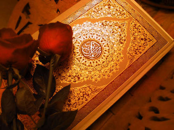 /توهين به ساحت مقدسات اديان متوقف شود/ 
گزارش ايسنا از واكنش رييس و نمايندگان مجلس به هتك حرمت قرآن در آمريكا