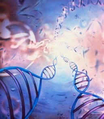 /پنجاهمين سالگرد كشف ساختار DNA/
استاد ژنتيك دانشگاه تهران: كشف ساختار مولكول DNA، جهشي بزرگ در تاريخ علم و سرآغاز دانش ژنتيك بود