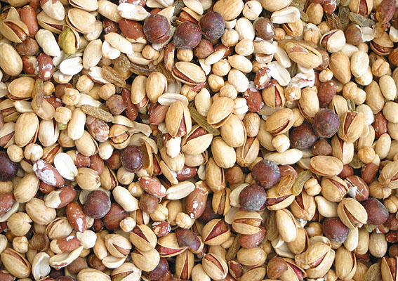 توصيه يك متخصص غدد به سيگاري‌ها:
براي ترک سيگار آجيل بخوريد
اسفناج، برگ چغندر و عرق شاه تره در ترک سيگار موثرند