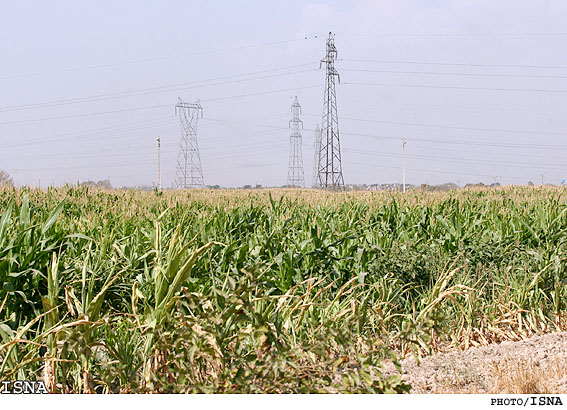 *توسعه روابط كشاورزي ايران با كشورهاي آمريكاي لاتين*
مديركل آمريكاي جنوبي وزارت امور خارجه:
حضور در اين منطقه موفقيت بسياري براي سرمايه‌گذاران ايراني دارد