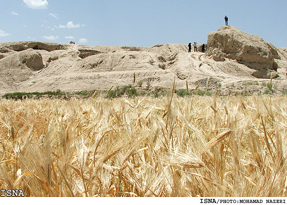 مدير اداره‌ي ميراث فرهنگي و گردشگري كاشان:
حدود 200 هكتار زمين براي عرصه و حريم يك سيلك بايد در اختيار اين اداره قرار گيرد