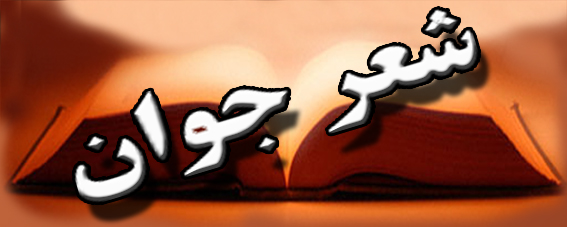 يازدهمين كنگره‌ي شعر جوان آغاز شد